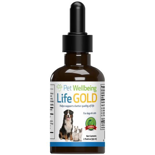Life Gold - Trusted Care for Cat Cancer