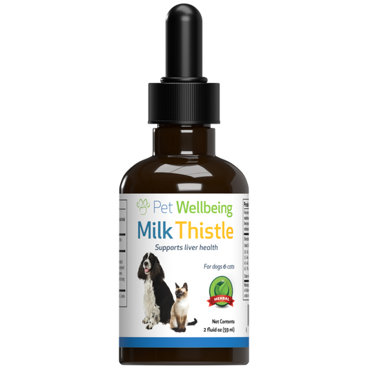 Milk Thistle - for Healthy Liver Function in Cats