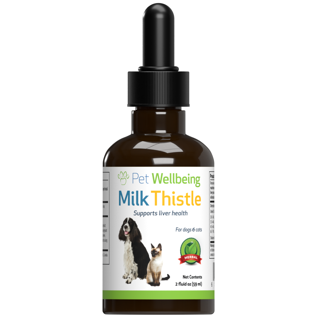 Milk Thistle for Healthy Liver Function in Dogs Pet Wellbeing