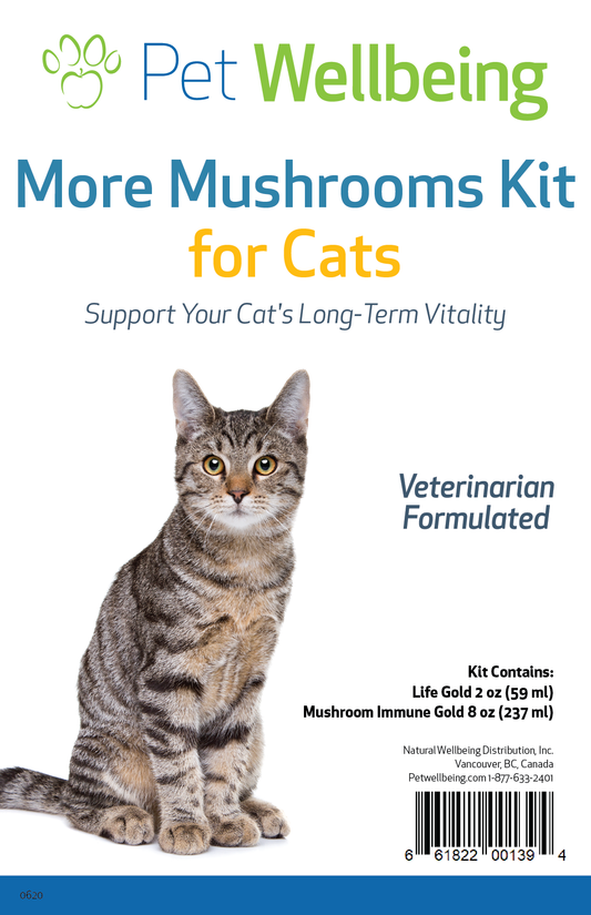 More Mushrooms Kit - Comprehensive Care for Cat Cancer Support