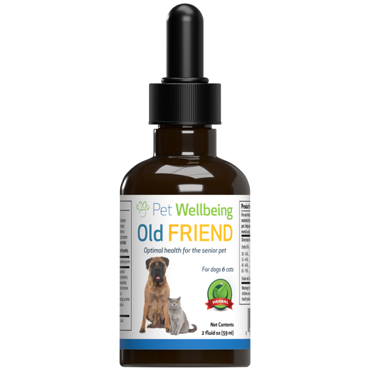 Old Friend - for Senior Cats
