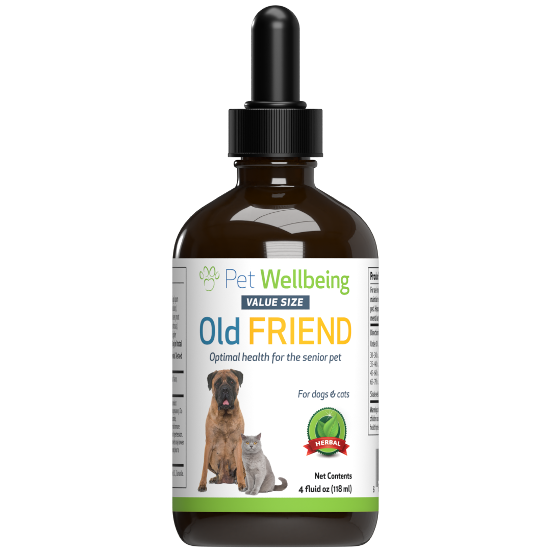 Old Friend for Senior Cats Pet Wellbeing