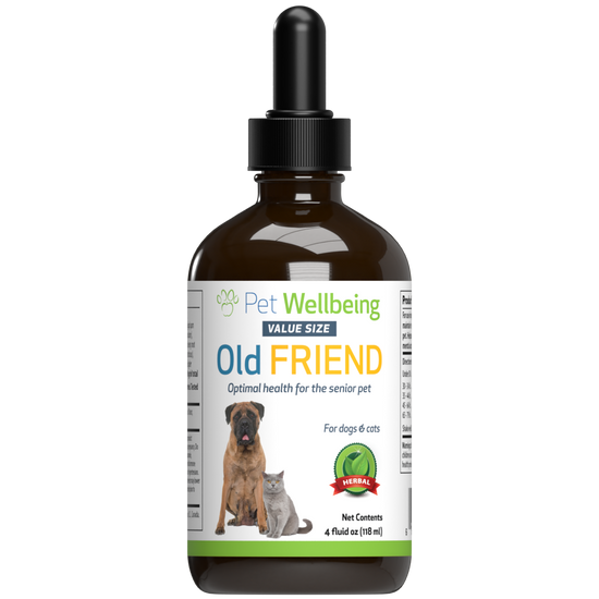 Old Friend for Senior Cats Pet Wellbeing