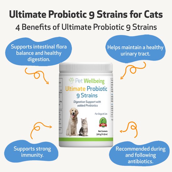 Ultimate Probiotic 9 Strains with Prebiotics for Cats Pet Wellbeing