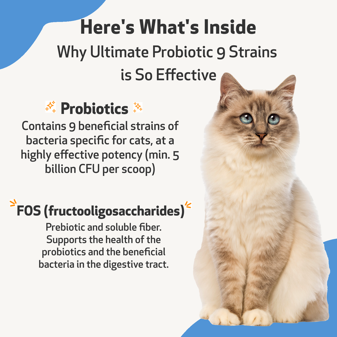 Ultimate Probiotic 9 Strains - with Prebiotics for Cats | Pet Wellbeing