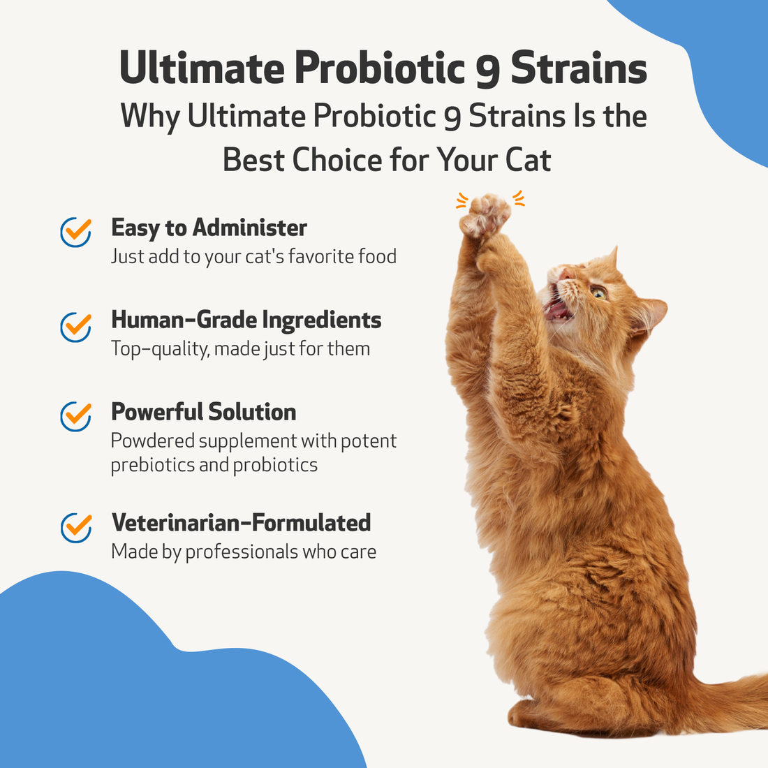 Ultimate Probiotic 9 Strains with Prebiotics for Cats Pet Wellbeing