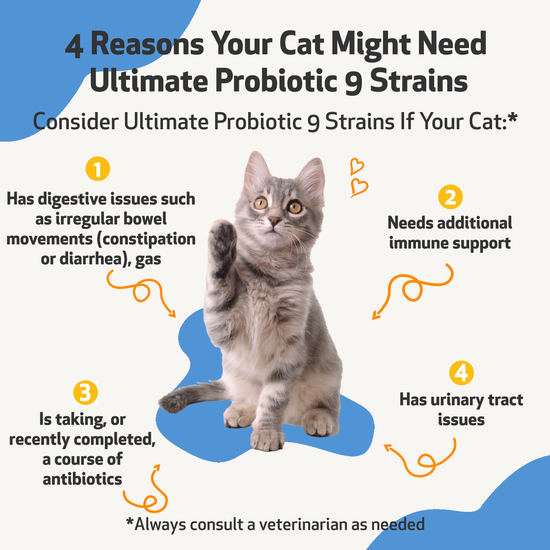 Ultimate Probiotic 9 Strains - with Prebiotics for Cats | Pet Wellbeing