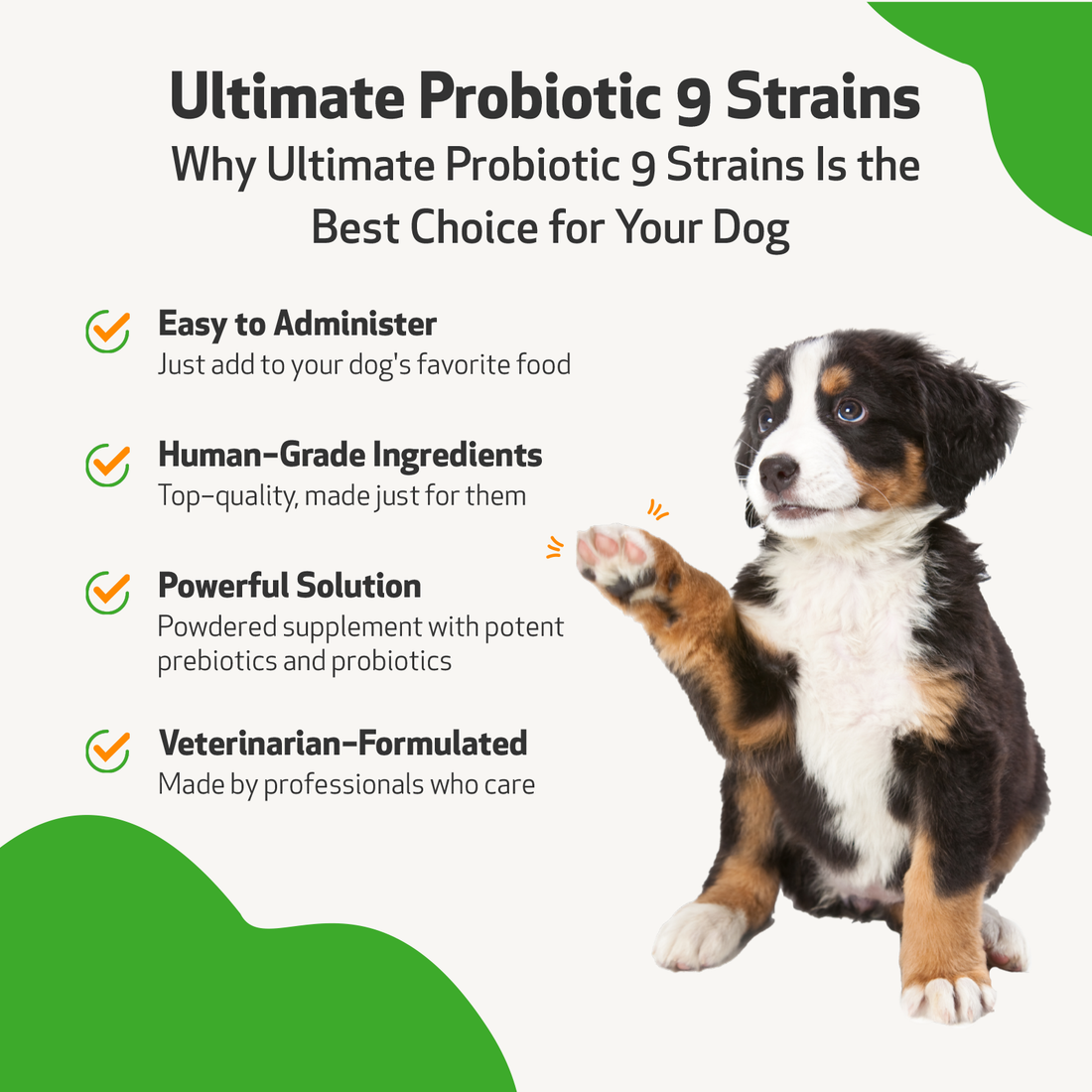 Ultimate Probiotic 9 Strains - With Prebiotics For Dogs 