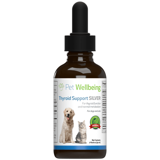 Thyroid Support Silver - for (Rare) Low Thyroid in Cats