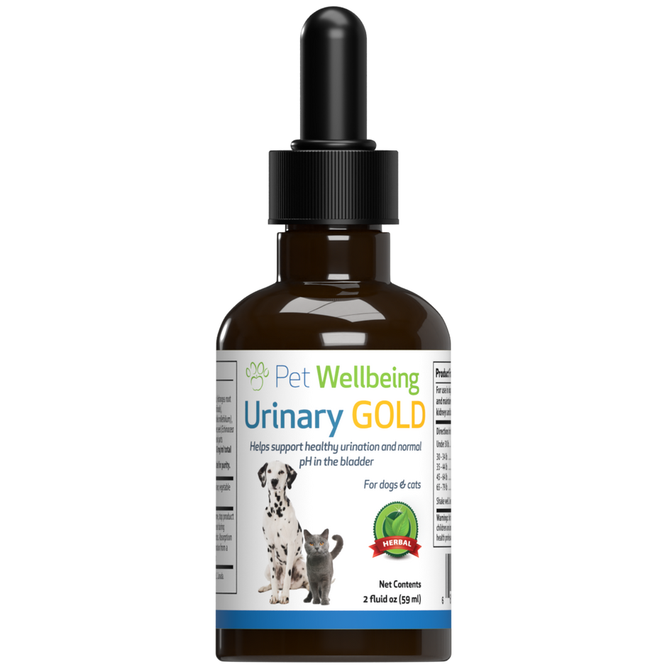 Urinary Tract Support Cat Pet Wellbeing