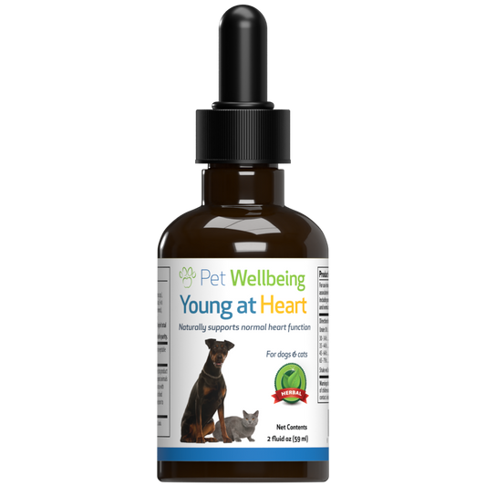 Young at Heart - for Healthy Heart Maintenance in Cats