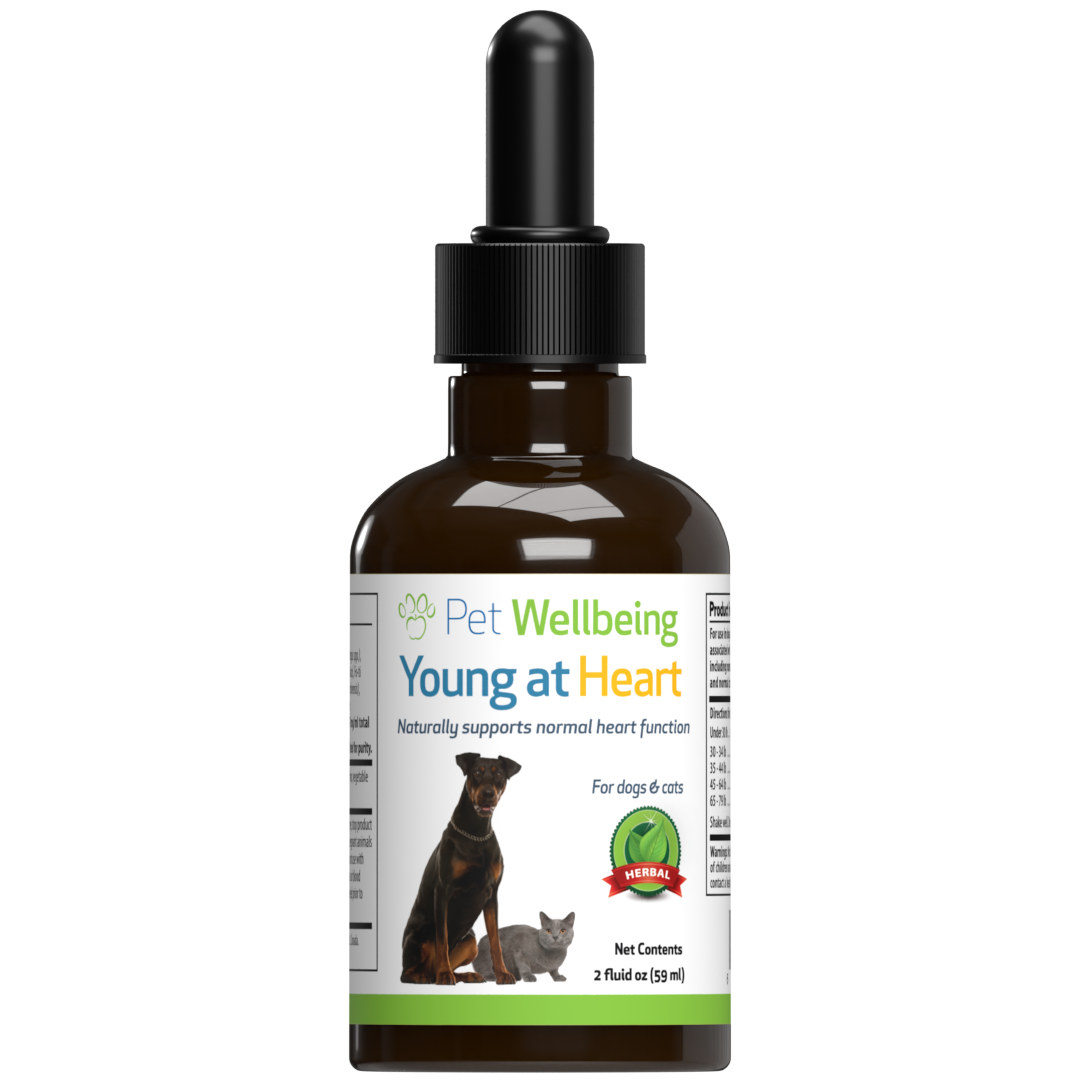Pet wellbeing liver shop support gold for dogs